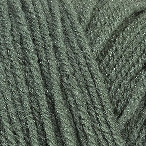 Red Heart Super Saver Light Sage E300-631 (3-Skeins - Same Dye Lot) Worsted Medium #4 Acrylic Yarn for Crocheting and Knitting with Project Bag