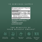 Apothékary Your Wildest Greens Herbal Liquid Drops, All-in-One Daily Superfood Supplement, Vitamin & Mineral Support, 5X Potency of Greens Powders, Sugar Free, Made in the USA, 1 Fl oz, 15 Servings