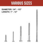 HROMIGRY 3/8" x 12" Lag Bolts (12 Pcs) Lag Screws for Wood, Hot Dip Galvanized, Hex Head with Washers
