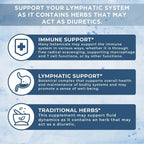 Lymphatic Support Drops | USDA Organic Lymphatic Cleanse for Immune Support | Lymphatic Support Supplement with Echinacea & Elderberry | Antioxidant & Immune Defense | Vegan | 30 Servings (2 Pack)