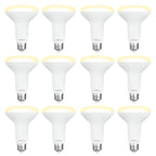 DEGNJU 12 Pack BR30 LED Recessed Light Bulb, Dimmable Indoor Flood Light Bulbs CRI80 7W Equivalent 65W 2700K Soft White 650 Lumens, 15000 Lifetime Hours E26 Base LED Can Light Bulb, Flicker-Free
