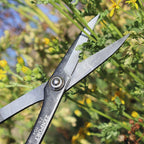 Zenport ZS104 Deluxe Scissors, 8 inches long, Horticulture & Craft Scissors with Durable Carbon Steel Blades, Precision Cutting of Plants, Garden, Fruit, and Craft Materials