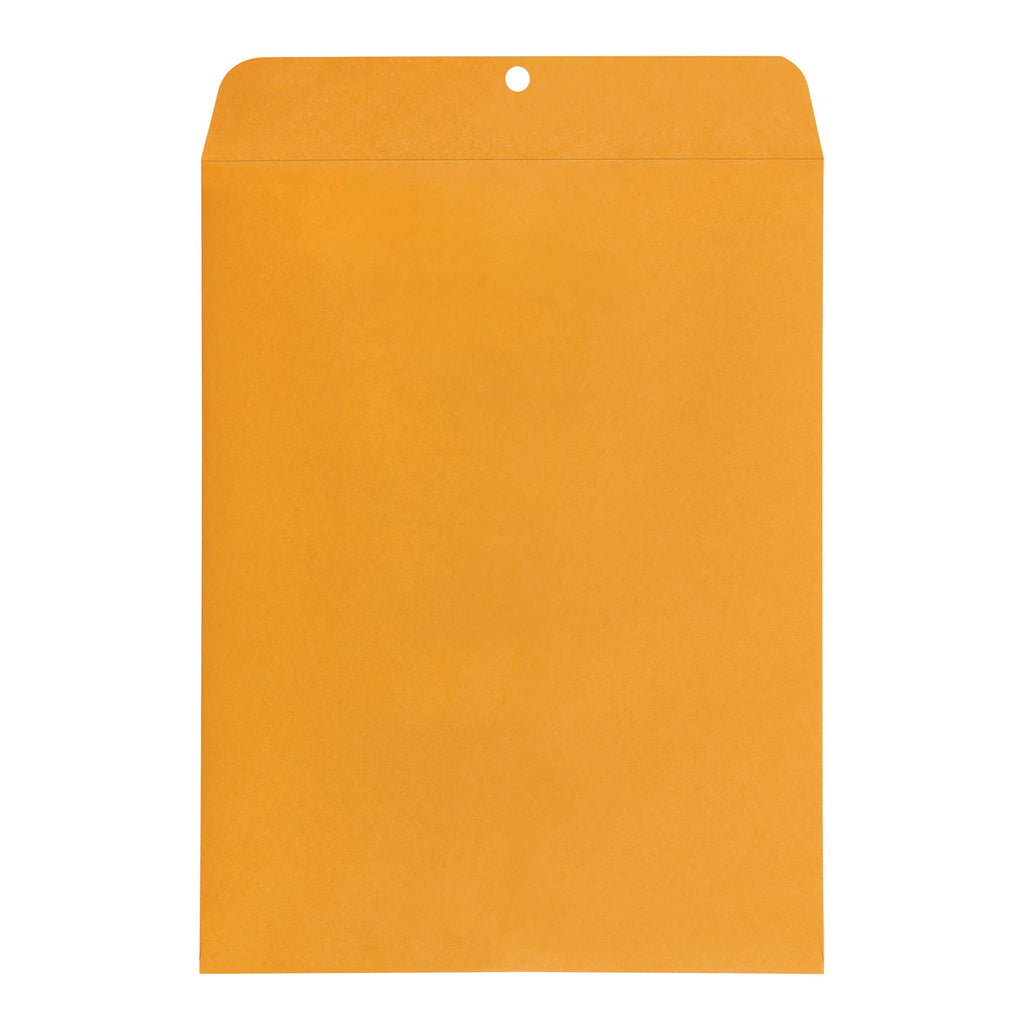 Amazon Basics Clasp Kraft Envelopes for Documents, Gummed Mailing, 10" x 13", 100-Pack