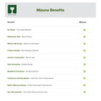 mizuna Microgreens Growing Kit — 2 Ceramic Trays, Coconut Coir & Seeds | Indoor Windowsill Grow Kit | Gift for Plant & Food Lovers