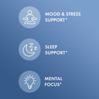 Dr. Mercola L-Theanine Plus GABA - Supports Relaxation - Focus & Cognitive Function - Stress Support Supplement - 200 mg L-Theanine - 100 mg GABA - 60 Capsules