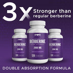THE MONK Organic Berberine Extract 2000mg - Vegan, Non-GMO - Immune Support - Berberine HCL Supplement for Women & Men - 120 Capsules