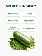 PURA VIDA MORINGA Organic Moringa Capsules, Pure Moringa Leaf Powder Single Origin for Energy, Metabolism & Immune Support, 120ct, 500mg Caps