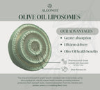 BrainGain, Luteolin & Key Ingredients with EVOO. May Support The Body in Reducing Stress While Increasing Cognitive Function. The only liposomal Luteolin Products Using Olive Pomace Oil.