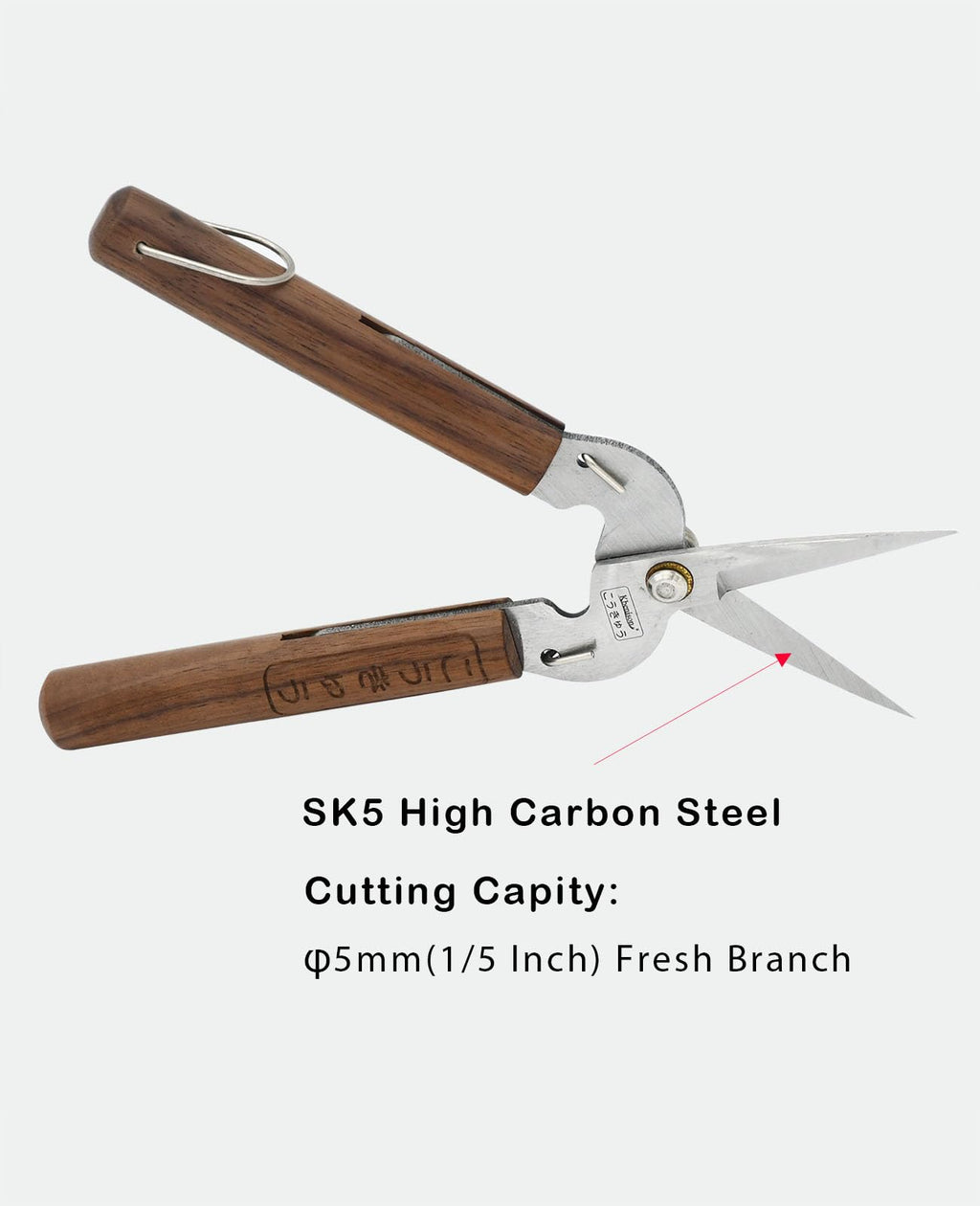 Razor Sharp Pruning Shears for Gardening, Garden Shears Carbon Steel Blade, Precision garden scissors Walnut Wood handle, 6.8” Garden Snips for Trimming Fruits, Vegetables, Flowers, Buds, Bonsai
