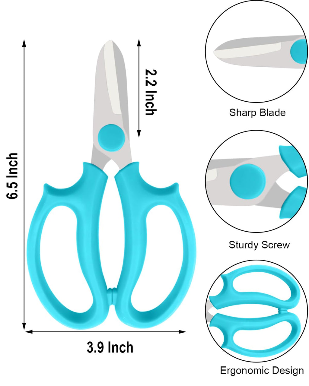 BINCKIN Flower Scissors - 12 Pcs Stainless Steel Flower Shears, Garden Plant Floral Shears for Fresh Flowers Stems (Blue, Green, Pink, Violet)
