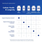 Pure Encapsulations NAC 600 mg - N-Acetyl Cysteine NAC Supplement for Lung Health & Immune Support, Liver Support & Antioxidants* - with Freeform N-Acetyl-L-Cysteine - 360 Capsules