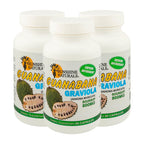 Sunshine Naturals Graviola Supplement. Immune Support, Digestive Aid, Antioxidant Defense, and Detoxification. Promotes Healthy Digestion, Cellular Health, and Overall Wellness. 60 Capsules. Pack of 3