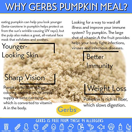 Gerbs Ground Pumpkin Seed Meal, 2 LBS - Top 14 Food Allergy Free & NON GMO - Vegan & Keto Safe – Cold Milled Full Oil Seed Protein Powder