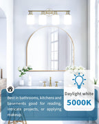 TJOY 12 Pack LED Light Bulbs, 100 Watt Equivalent A19, 5000K Daylight LED Bulb, 15W Bright White Energy Saving Lightbulbs with E26 Standard Base, 1500 Lumens Non Dimmable Lamp for Home Bedroom Indoor