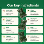 Gruns Sugar-Free Super Greens Gummies, Multivitamin Superfood Gummy Bears, Spirulina, Chlorella, Prebiotics & Fiber gummies for Digestive Health, Adaptogens Supplement, 20 Vitamins & Minerals, 10 pack
