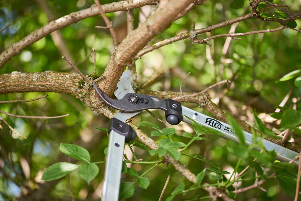 FELCO F211-60 Swiss Made Loppers for Gardening – 24" Lightweight Precision Loppers for Tree Trimming | Tree Branch Cutters | Tree Trimmer Tool with Curved Bypass Blade | I-Beam Handles | Landscape