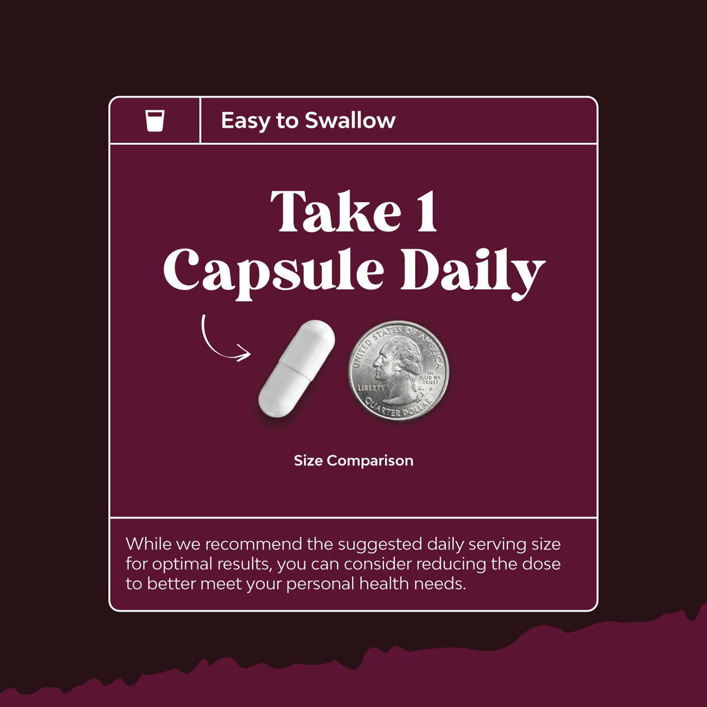 Advanced Kidney Support Supplement - Kidney Cleanse Detox & Repair Cranberry Extract Capsules with Uva Ursi, Stinging Nettle & Astragalus for Kidney Health - Urinary Tract Health - 240 Count