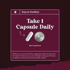 Advanced Kidney Support Supplement - Kidney Cleanse Detox & Repair Cranberry Extract Capsules with Uva Ursi, Stinging Nettle & Astragalus for Kidney Health - Urinary Tract Health - 240 Count