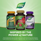 Nature's Way CranRx Gummy Urinary Health BioActive Cranberry + D-Manonse + Vitamin C, 60 Gummies