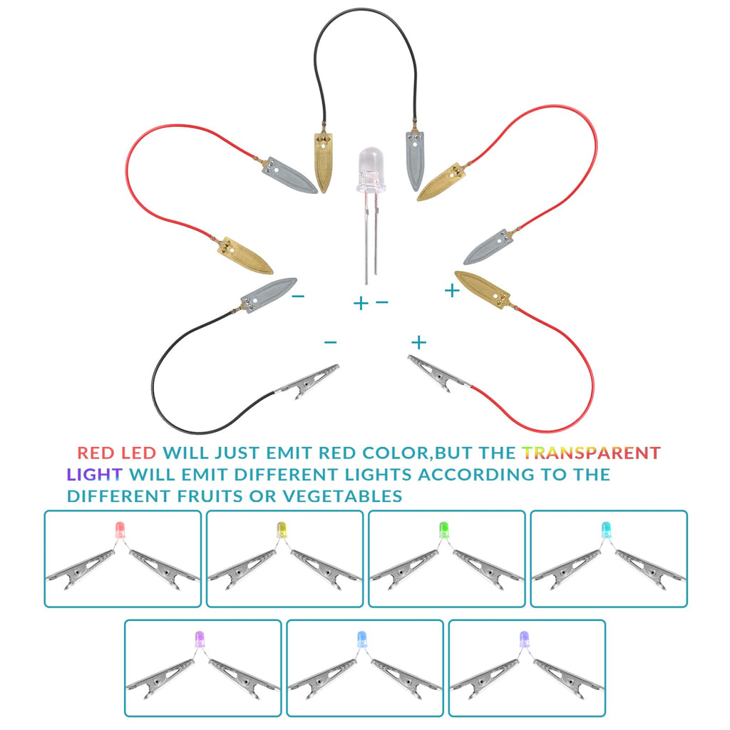 Sntieecr Fruit Battery Science Experiment Kit with Instruction, Potato Science Educational Kit for School Sciences Project, Kids DIY STEM Lab Experiments