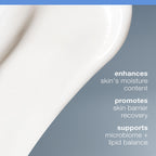 Dermalogica Intensive Moisture Balance (1.7 Fl Oz) Face Moisturizer with Hyaluronic Acid - Restores Balance to Dry, Depleted Skin for Optimal Barrier Performance