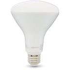 Amazon Basics 65W Equivalent, Daylight, Dimmable, 10,000 Hour Lifetime, BR30 LED Light Bulb | 2-Pack