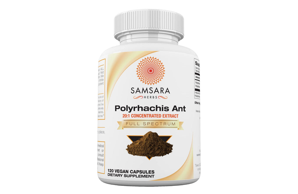 Samsara Herbs Polyrhachis Black Ant Extract - (120 Capsules)