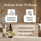 Lymphoria Lymphatic Drainage Drops, Lymphatic System Support, Immune System, Natural Herbal Blends, Vegan & Non-GMO