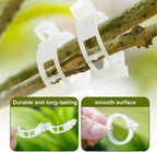 Hytihtu 50Pcs Plant Support Clips,Plastic Tomato Clips for Climbing Plants