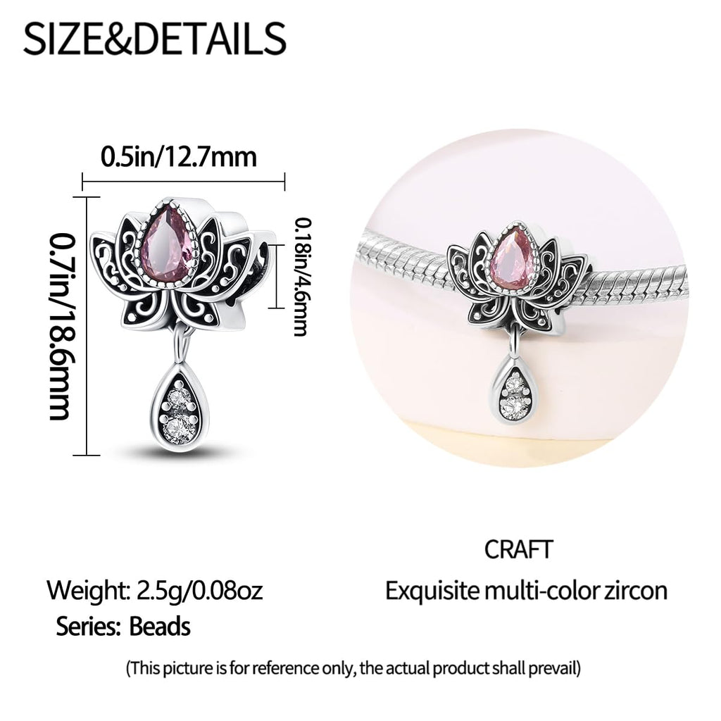 HappyStar 925 Sterling Silver Charms for Bracelets and Necklaces,Combination Dangle Pendants Beads Charms Jewelry Gift for Couples Sisters.（With Spacer Beads）