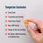 Nordic Naturals Nordic Omega-3 Gummies, Tangerine - 60 Gummies - 82 mg Total Omega-3s with EPA & DHA - Non-GMO - 30 Servings