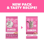 IAMS Proactive Health Sensitive Digestion Dry Cat Food, Turkey, 6 lb