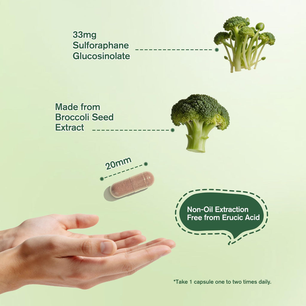 Sulforaphane from Broccoli Seed, Broccoli Supplement | Glucoraphanin, Myrosinase, Moringa Oleifera Leaf Extract – Activated Plant-Based Formula for Cellular Antioxidant Support, 120 Vegan Capsules