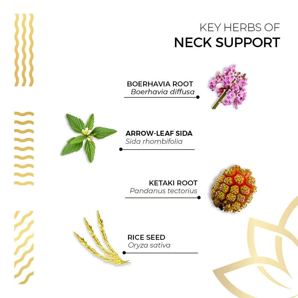 Kerala Ayurveda Neck Support Herbal Capsule - Supports Neck Health & Movements, Rejuvenates & Strengthens Bones, Cartilage, and Muscles, 90 Count