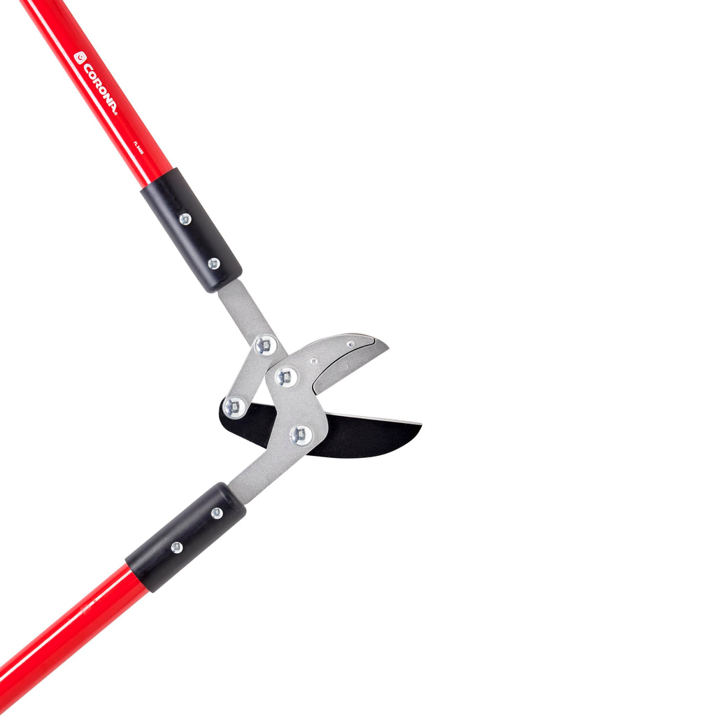 Corona Tools Compound Action Anvil Lopper – 32-Inch Heavy-Duty Branch Cutter for Tree Trimming & Pruning, Garden Loppers for Thick Branches