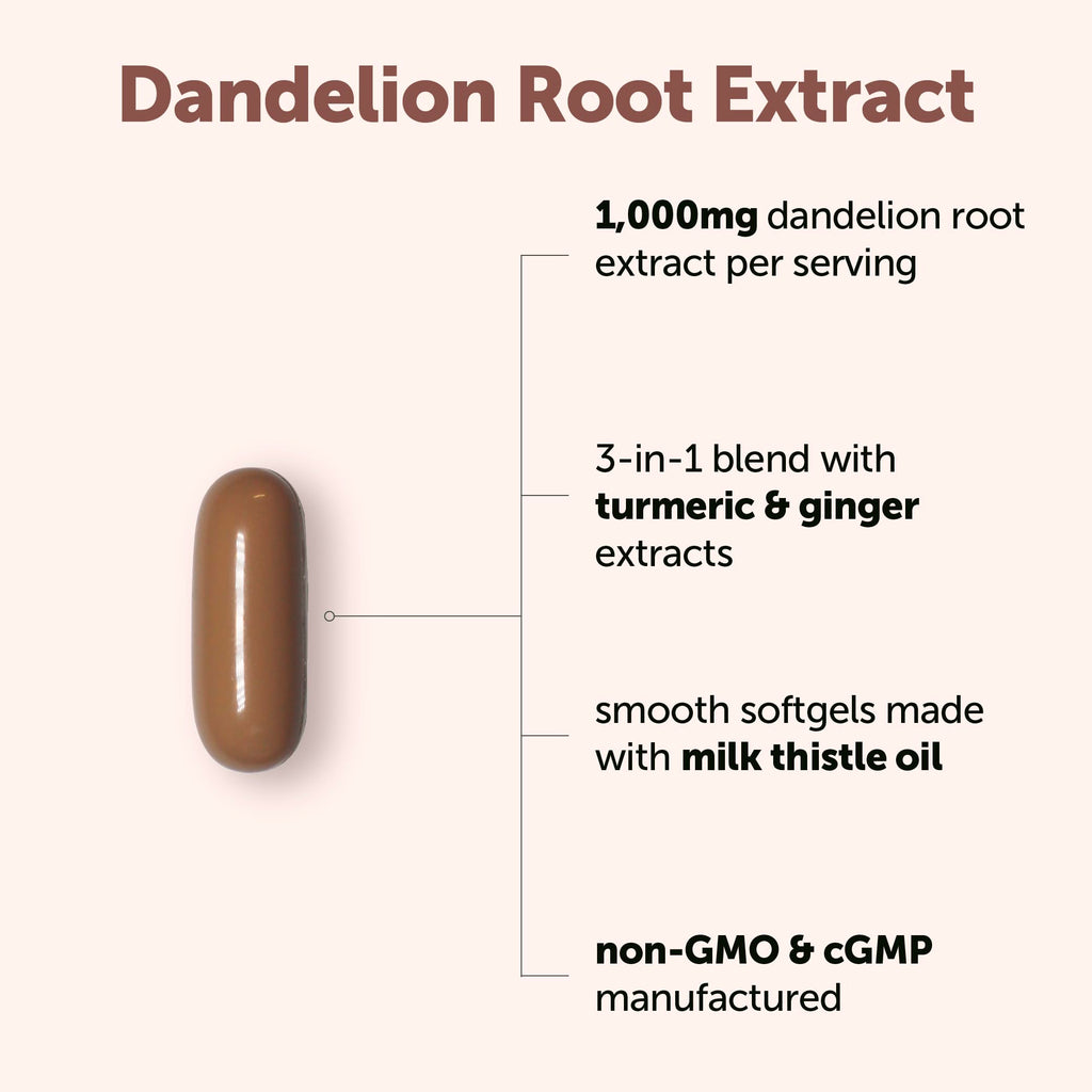 Micro Ingredients Dandelion Root Extract (Taraxacum officinale) 1,000mg Per Serving, 240 Softgels | 3-in-1 Herbal Blend with Turmeric & Ginger Extract | Made with Milk Thistle Oil | Non-GMO