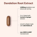 Micro Ingredients Dandelion Root Extract (Taraxacum officinale) 1,000mg Per Serving, 240 Softgels | 3-in-1 Herbal Blend with Turmeric & Ginger Extract | Made with Milk Thistle Oil | Non-GMO