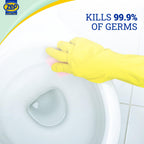 Zep HomePro All-Purpose Bathroom Disinfectant Cleaner - 32oz (Case of 6)