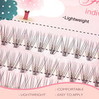 4 Trays 10D Lash Clusters, 960pcs Individual Lashes Extensions Natural Cluster Lashes, 8-12mm Mix Lengths 10 Roots C Curl 0.07mm Thickness eyelash Individual Cluster Lashes and Apply Under your Lashes