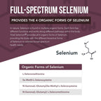 Total Selenium - 200 mcg, Plant-Based Selenium - Full Spectrum, Contains 4 Essential Organic Forms of Selenium Including Selenomethionine - Derived from Garlic - 60 Capsules