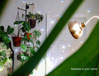 MerryNine Crystal Sun Catcher Suncatcher Prism Ball Assorted Colors