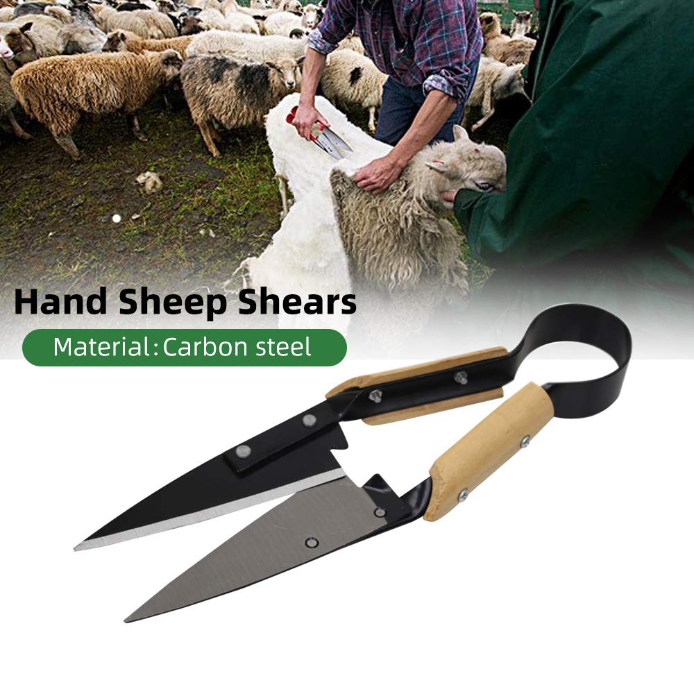 Abustle pig Single Bow Sheep Shears, Heavy Duty 6.1-Inch Carbon Steel Blade, 12.5-Inch Long Hand Shears for Sheep, Alpaca, Goat, Rabbit, Horse & Dog, Farm Grooming Scissors (Black)