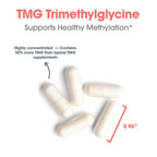 Allergy Research Group ARG TMG Trimethylglycine - Supports Cardiovascular & Liver Health - Delivers 750 mg Trimethylglycine per Serving - Vegetarian & Hypoallergenic - 100 Servings - 100 Capsules