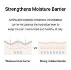 celimax Noni Moisture Balancing Toner | with Noni Extract, Facial Astringent, Hydrating, Exfoliating, for Sensitive Dry Skin, Fine Lines, Korean Skincare, 150ml