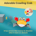Crawling Crab Baby Toy Gifts: Tummy Time Toys Walking Dancing Cute Essentials Electric Induction Sensory Stuff Moving Babies Crabs with Light Up Music for Toddler Boys Girls Items Interaction Gadgets