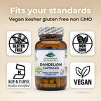 Pure Mountain Botanicals Dandelion Root Capsules - 450mg Organic Supplement - 90 Kosher Vegan Non-GMO Dandelion Pills