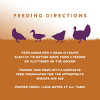 Manna Pro 7-Grain Ultimate Chicken Scratch Treat, Non-GMO, 10 lb Bag