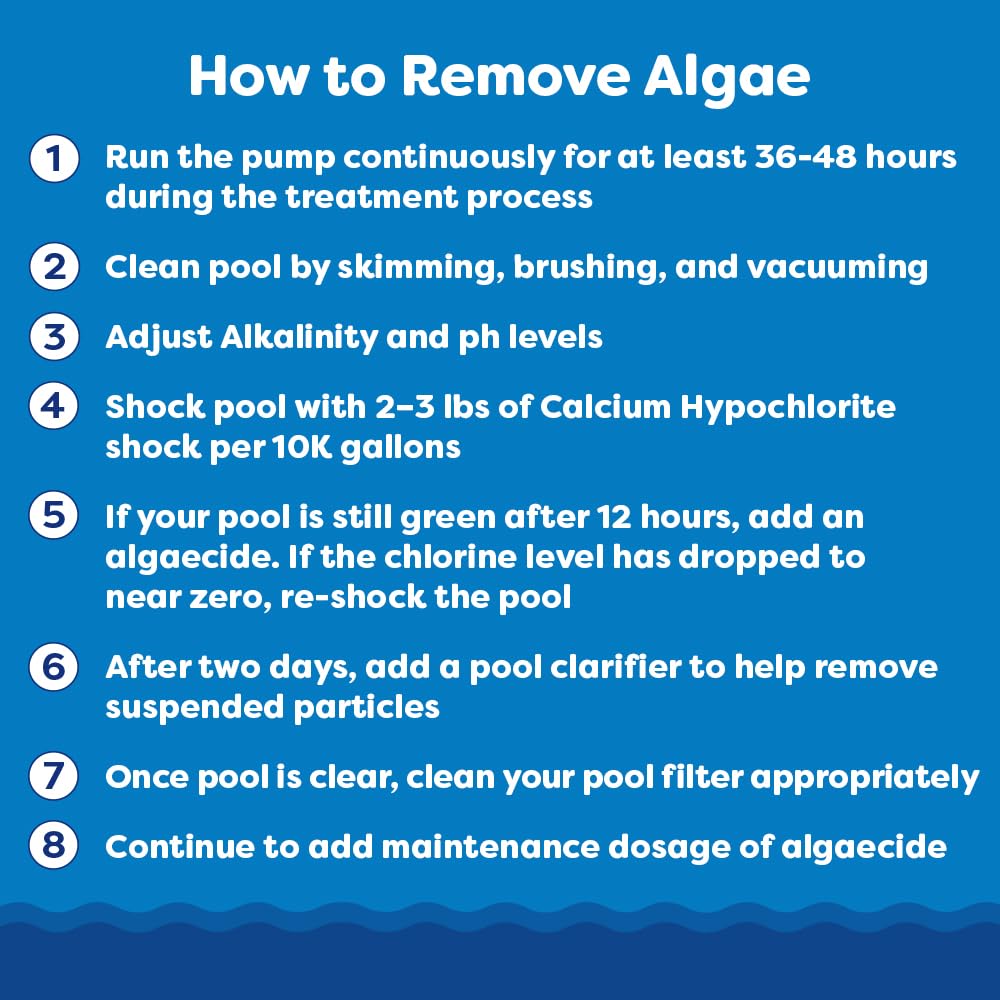 In The Swim Algaecide 60 Plus for Swimming Pools - Non-Metallic, Low Odor, Non-Foaming Algae Bloom Preventative - Chlorine Sanitizer Compatible - 1 Quart