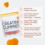 Bear Balanced Creatine Gummies for Men & Women - Creapure® Creatine Monohydrate, L-Theanine, L-Tyrosine & B12 for Muscle Growth, Strength, Focus, Energy & Health - Low Calorie, Sugar-Free, & Vegan
