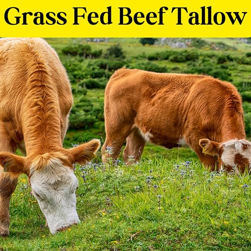 New! 100% Beef Tallow Bar Soap w/Aloe & Jojoba Oil – Handmade, Natural, Moisturizing – Gentle Soap for Dry, Sensitive Skin – Men's Body Wash, Face Cleanser – Unisex – Grass Fed - (3 Pack)-Unscented